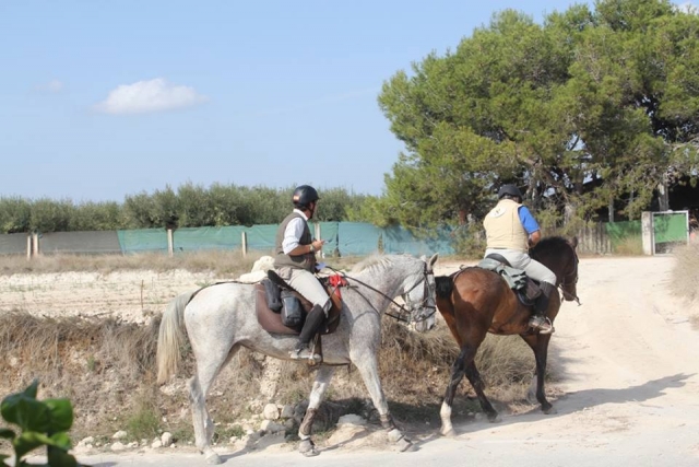  chevaux dans le mas de xeta 